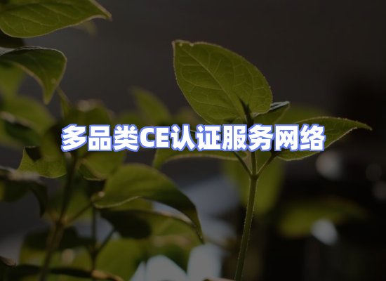 CE认证项目服务